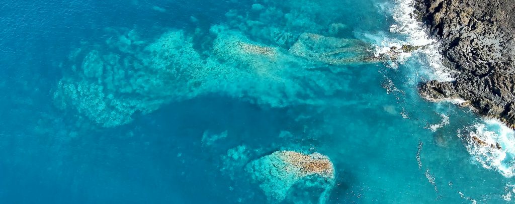 Visita el Delta Lávico del Tajogaite con El Bono Turístico La Palma 2025